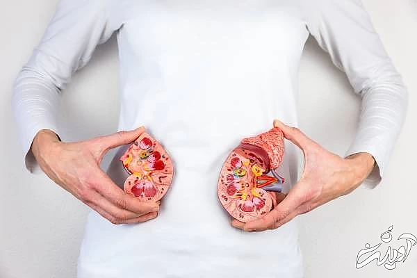 عوارض دندان خراب در بروز بیماری های کلیوی بیماری کلیوی